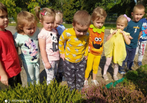 dzieci znalazły w ogrodzie wrzosy i się im przyglądają